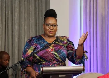 KZN Health MEC Acknowledges Strain of Illegal Migrants on Healthcare System