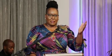 KZN Health MEC Acknowledges Strain of Illegal Migrants on Healthcare System