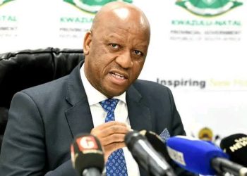 KwaZulu-Natal Premier Announces Stricter Measures Against Illegal Immigration