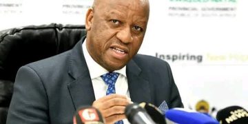 KwaZulu-Natal Premier Announces Stricter Measures Against Illegal Immigration