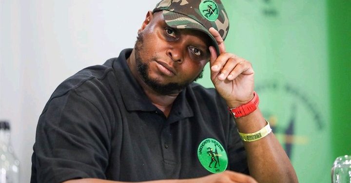 New Party Mayibuye iAfrika Eyes 2024 Municipal Elections, Shivambu Announces