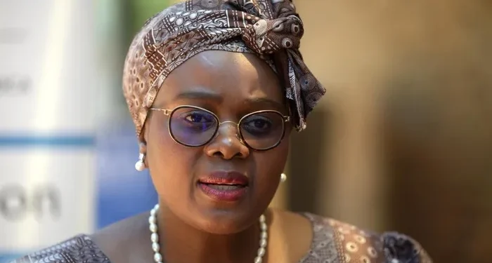 Kubayi Confirms Readiness of Khampepe and Madlanga Commissions