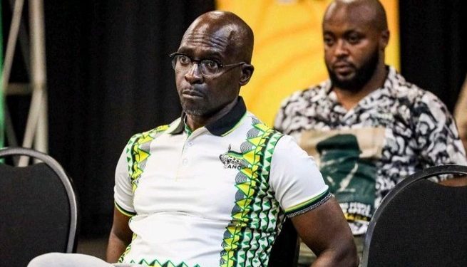 Gigaba, Mchunu to be disciplined for ‘casting aspersions’ on character and unity of ANC