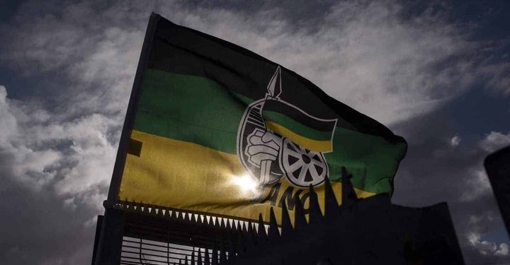 Limpopo ANC Leadership Race Marred by Allegations Against Top Contenders