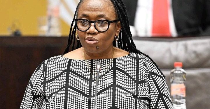 DA Questions MERSETA’s R6.3 Million Board Pay Amid Controversial Appointments