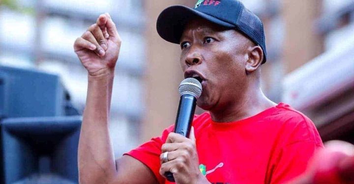 Polokwane Municipality Denies Favoring Foreign Nationals for Jobs