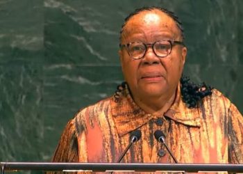 Naledi Pandor Exposes Rampant Corruption in Home Affairs, Calls for Reform