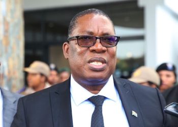 “This Opportunity Is For Gauteng People Only, No Foreigners Will Benefit From The Program” Lesufi on Nasi iSpani Relaunch