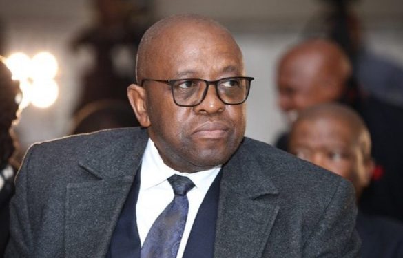 SAPS Secrets Exposed: Mapaila Demands Immediate Action On Police Dockets After Uncovering A Clue