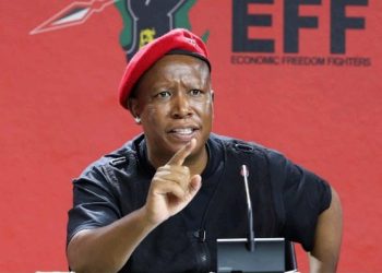 “Parliament Now A Toothless Structure” Malema Slams Parliament Ad Hoc Committee