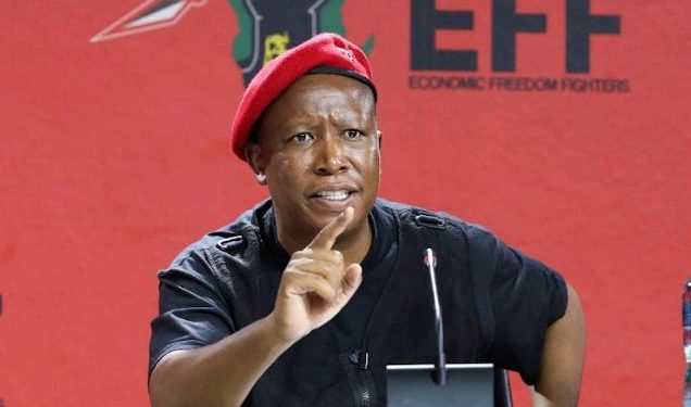 “Parliament Now A Toothless Structure” Malema Slams Parliament Ad Hoc Committee