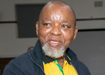 “If we do the right thing, more people will vote for us, we will have more seats” – Gwede Mantashe