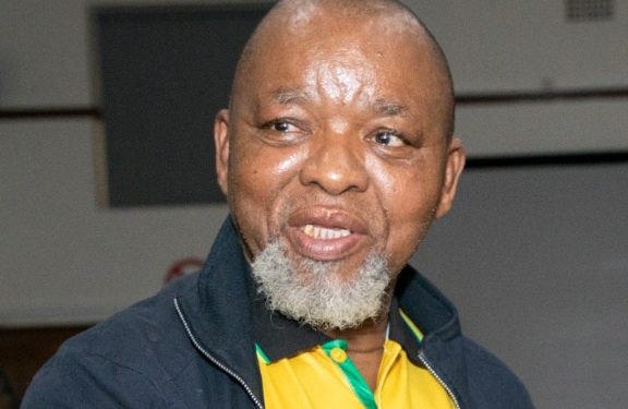 “If we do the right thing, more people will vote for us, we will have more seats” – Gwede Mantashe