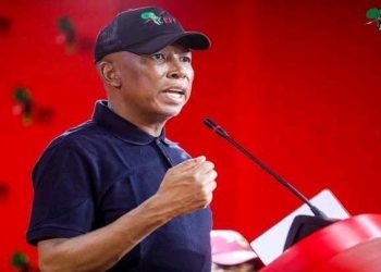 Malema Criticises Hollywood for Stereotyping and Killing Black Characters First