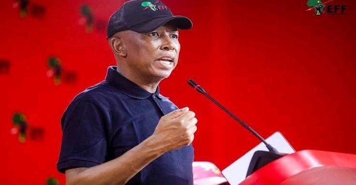 Malema Criticises Hollywood for Stereotyping and Killing Black Characters First