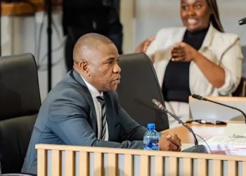 Mkhwanazi Testifies Minister Mchunu Not Sole Force Behind Disbanding Key Task Team