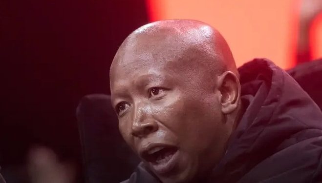 Malema’s Hidden Empire: What’s Behind His Explosive Property Holdings?