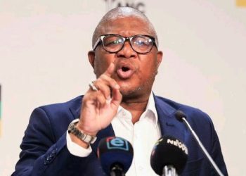 ANC SG Mbalula Tears Into Mzwanele Manyi Over Party-Hopping Record