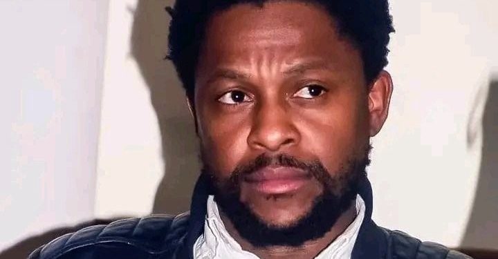 “Many Deaths Would’ve Been Avoided Had Zondo Granted Mkhwanazi Space To Speak” Ndlozi Hits Out