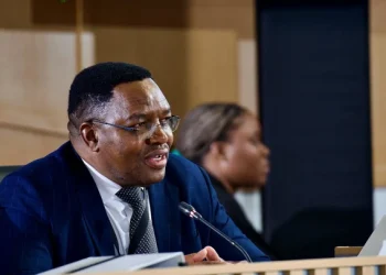 Analyst Accuses President of Protecting Suspended Minister Mchunu in Task Team Disbandment