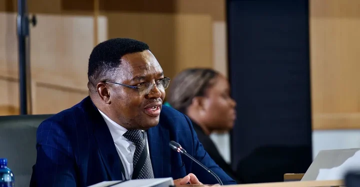 Analyst Accuses President of Protecting Suspended Minister Mchunu in Task Team Disbandment