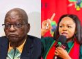 We’re Not a Stokvel” Chirwa Blasts Zuma Over Unsettled Debt to EFF