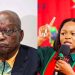 We’re Not a Stokvel” Chirwa Blasts Zuma Over Unsettled Debt to EFF