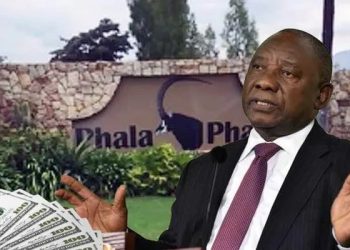 Defence Lawyer: No Evidence Linking Accused to Phala Phala Theft—Yet