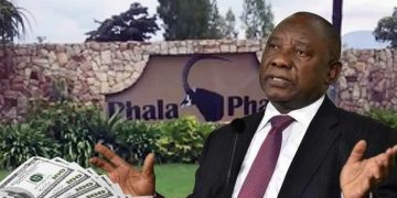 Defence Lawyer: No Evidence Linking Accused to Phala Phala Theft—Yet