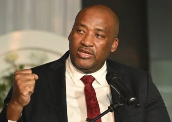 PA Leader McKenzie Vows to Collapse ANC Alliances if Kunene Isn’t Back