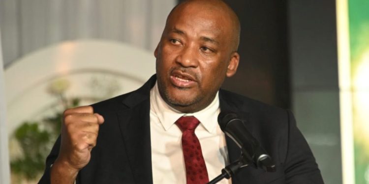 PA Leader McKenzie Vows to Collapse ANC Alliances if Kunene Isn’t Back