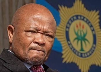Police Minister ‘Furious’ Over Task Team Success, Says Masemola
