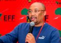 EFF MP Thapelo Mogale Who Spoke On Citizenship Said A Foreigner Is Allegedly Working To Divide SA