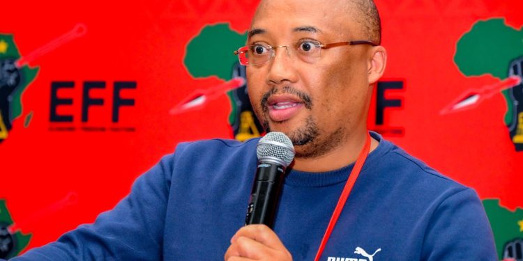 EFF MP Thapelo Mogale Who Spoke On Citizenship Said A Foreigner Is Allegedly Working To Divide SA