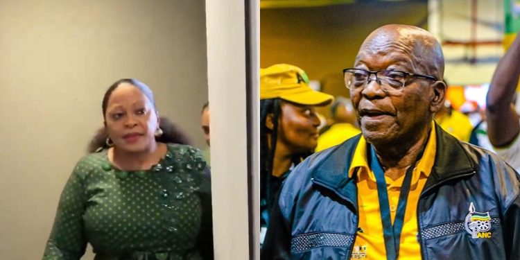 Nomvula Mokonyane Says Former ANC Leader Jacob Zuma Betrayed Party
