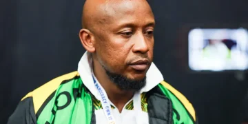 “No Need For Madlanga Commission, Because Those Leading It Could Be Implicated” Ndhlela Hit Out