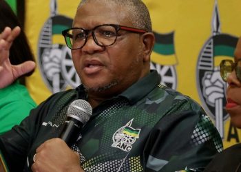 Mbalula Send Clear Warning To Top Cop Appearing Before Commission, Stop Lies Or Face The Consequence