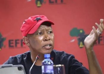 Malema Slams “Anarchy” Disrupting Schools and Healthcare