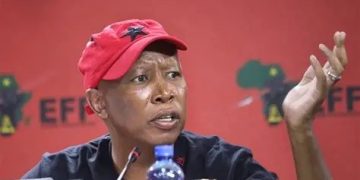 Malema Slams “Anarchy” Disrupting Schools and Healthcare