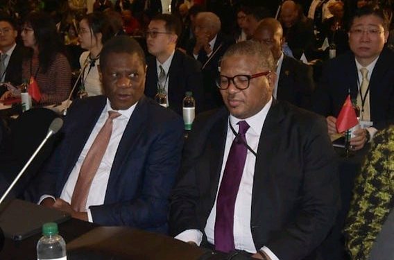 ANC NEC members reportedly act to prevent Mashatile, Mbalula succession bloodbath