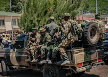 South Africa Seeks Answers After Unapproved Visit by M23 Rebel Delegation