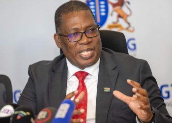 Mcebisi Ndletyana: Strong Institutions Key to Calming Debate on Undocumented Immigrants