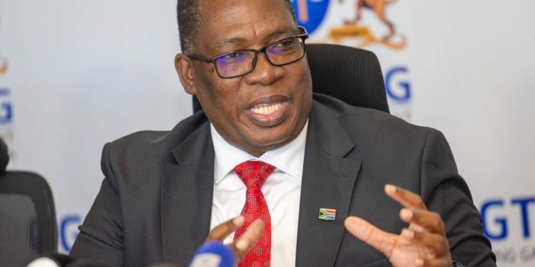 Mcebisi Ndletyana: Strong Institutions Key to Calming Debate on Undocumented Immigrants