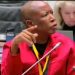 Malema clarifies his relationship with General Sibiya