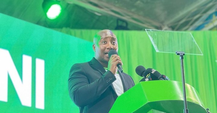 Xolani Khumalo says ANC and DA members in GNU are main perpetrators