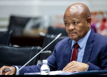 Mchunu Axes PKTT, Citing Outdated Mandate and Questioning R415m Spend