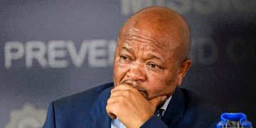 Senzo Mchunu Shot Himself In The Foot Says Former Interpol Ambassador For Presenting Empty Evidence