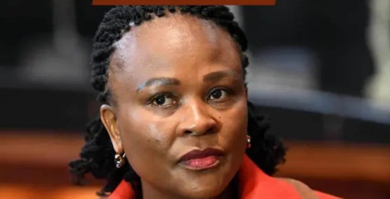 MK Party Drama Unfold As Mkhwebane Exposed The Hidden Secret Of Mpumalanga Secretary