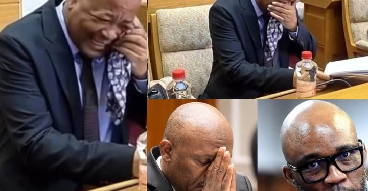 Witness C Alleges Sibiya and Mchunu Directed Matlala to Open Rolex Theft Case Against Police Officer