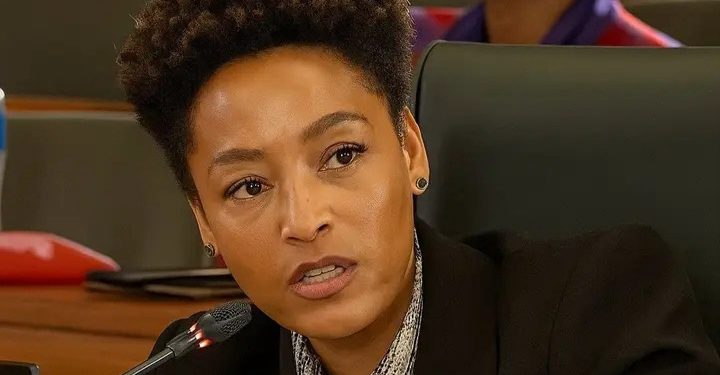 “I Will Deal With Them” – Woman’s Emotional Outburst Stuns Madlanga Commission